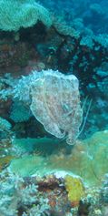 IMG_1285b
