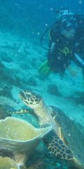 IMG_1387b