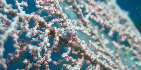IMG_1394b