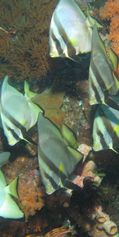 IMG_1431b