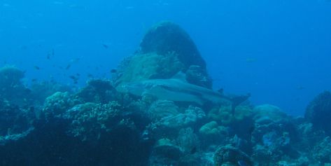 IMG_1490b