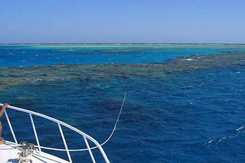 Reef top