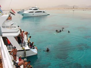 Crowded at Gordon Reef