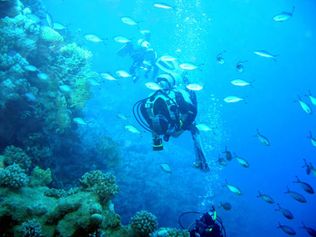 Red Sea fusiliers and divers