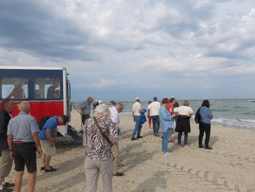 28Grenen