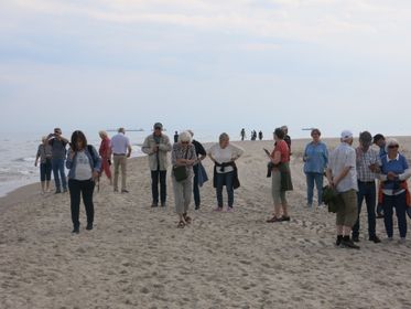 29Grenen
