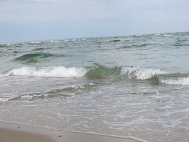 30Grenen