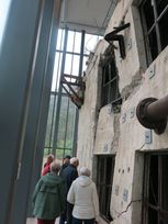IMG_6872