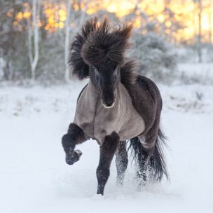 Foto: Vilma Kollberg