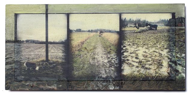 imperfekt-5036_webb