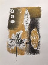 Mono print___serialized1