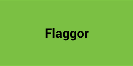 Flagga