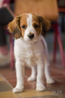 12 weeks 2