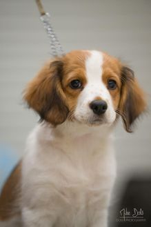 12 weeks 6