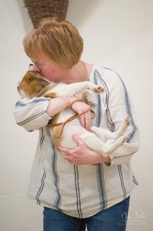 12 weeks 8