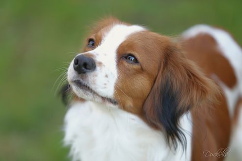 Milo 1y Qunacks favor showstopper (13)