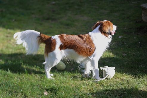 Milo 1y Qunacks favor showstopper (14)