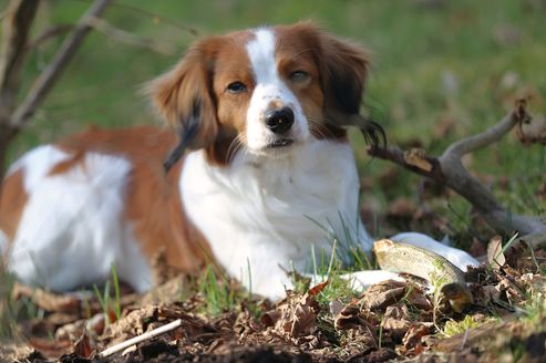Milo 1y Qunacks favor showstopper (16)