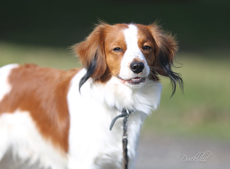 Milo 1y Qunacks favor showstopper (22)