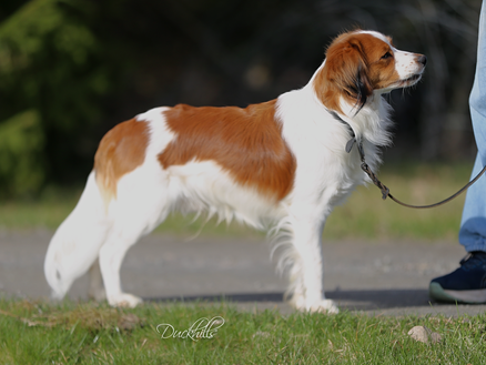 Milo 1y Qunacks favor showstopper (26)