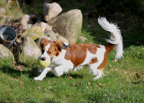 Milo 1y Qunacks favor showstopper (29)