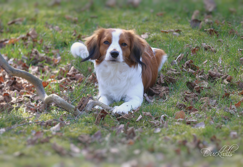 Milo 1y Qunacks favor showstopper (30)