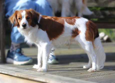 Milo 1y Qunacks favor showstopper (31)