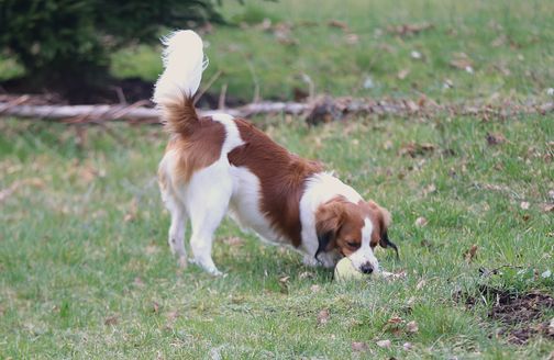 Milo 1y Qunacks favor showstopper (4)