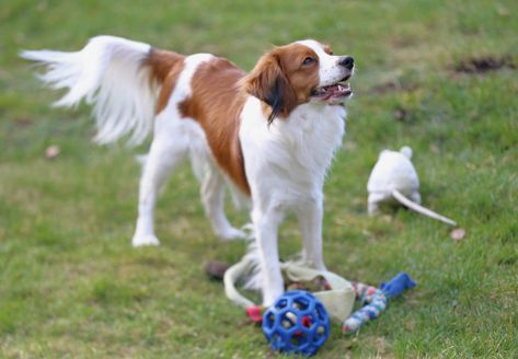 Milo 1y Qunacks favor showstopper (6)