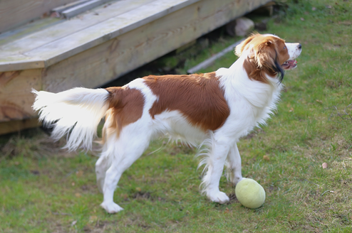 Milo 1y Qunacks favor showstopper (9)