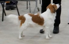 9 months BOB junior Goes 9 months BOB junior Goes