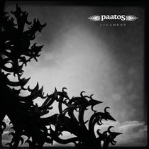 Album Covert art. Paatos Ligamen