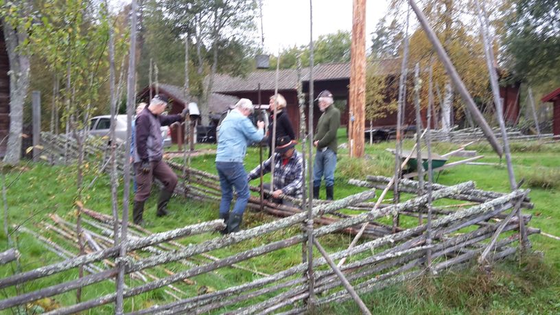 Arbetsdag höst 2016