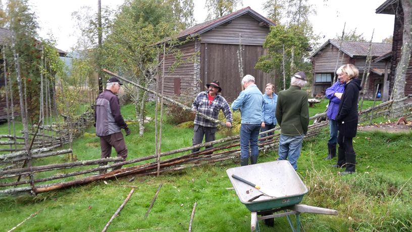 Arbetsdag höst 2016
