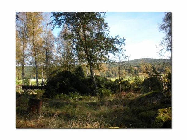 Arbetsdag höst 2009
