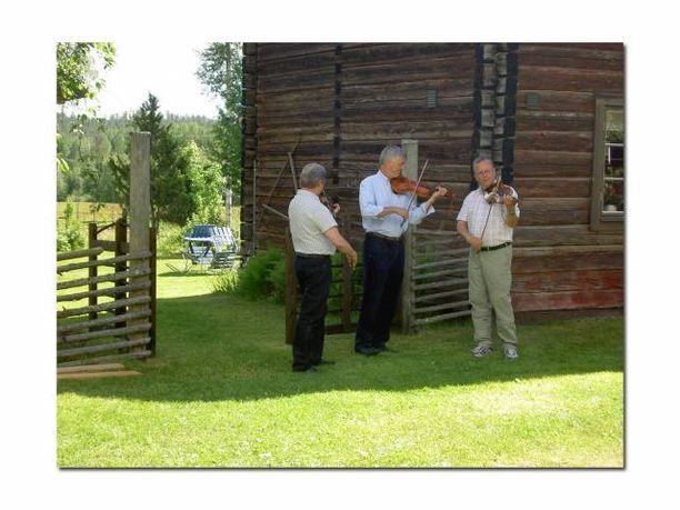 Midsommar 2008