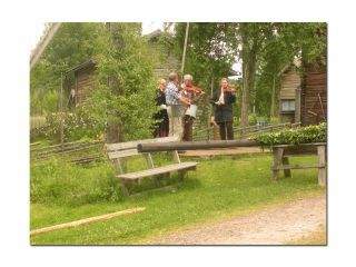 Midsommarfirande 2014