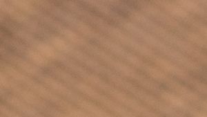 Gesichtspflegeprofi