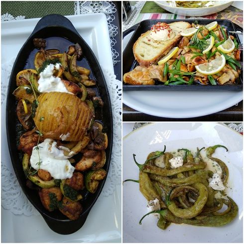 Chicken with courgettes (left),  grilled meat with porcini and field mushrooms (top right),  pan fried green peppers (bottom right).