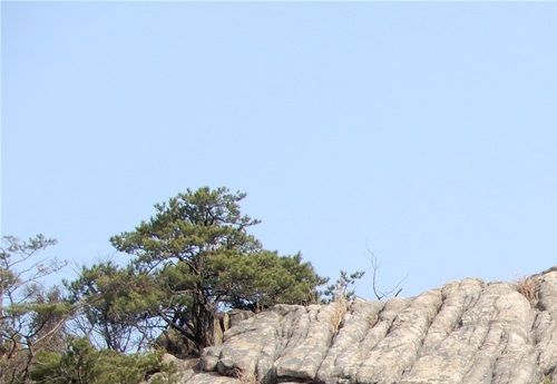 Gwanaksan Mountain granitic rocks