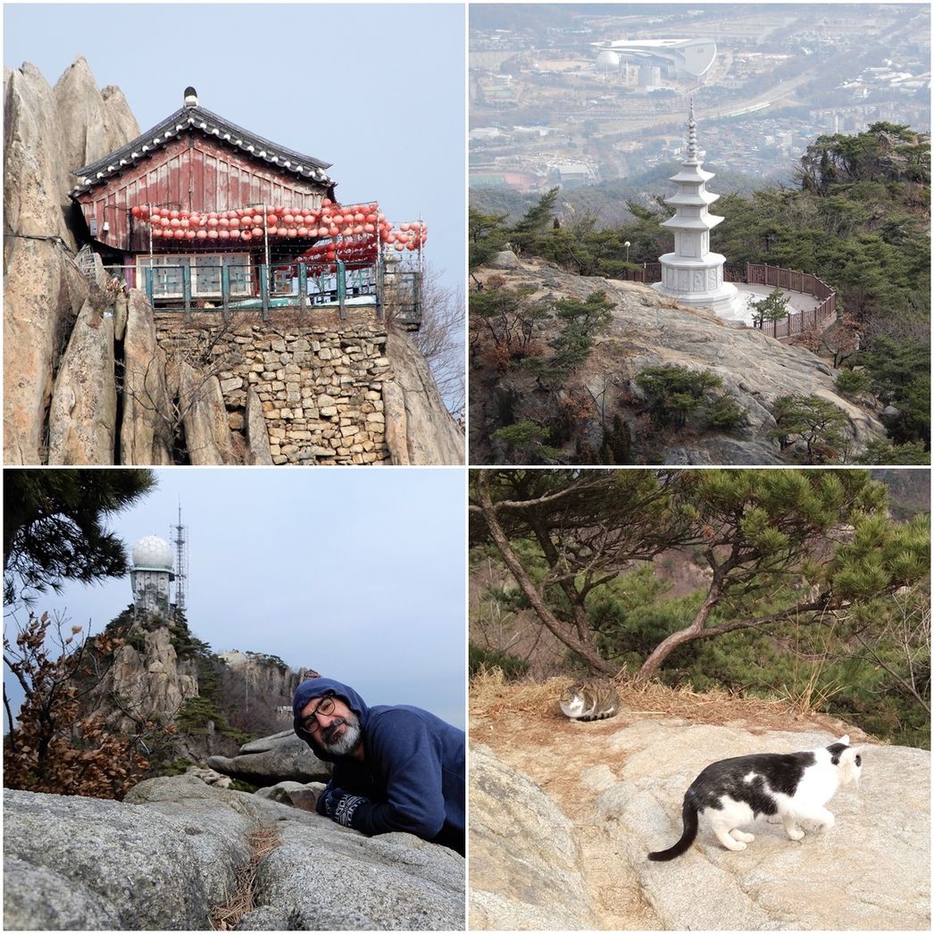Yeonjudae Hermitage, Me, the view and the cat.