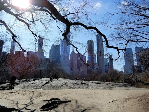 Cityline seen from the southern Central Park.