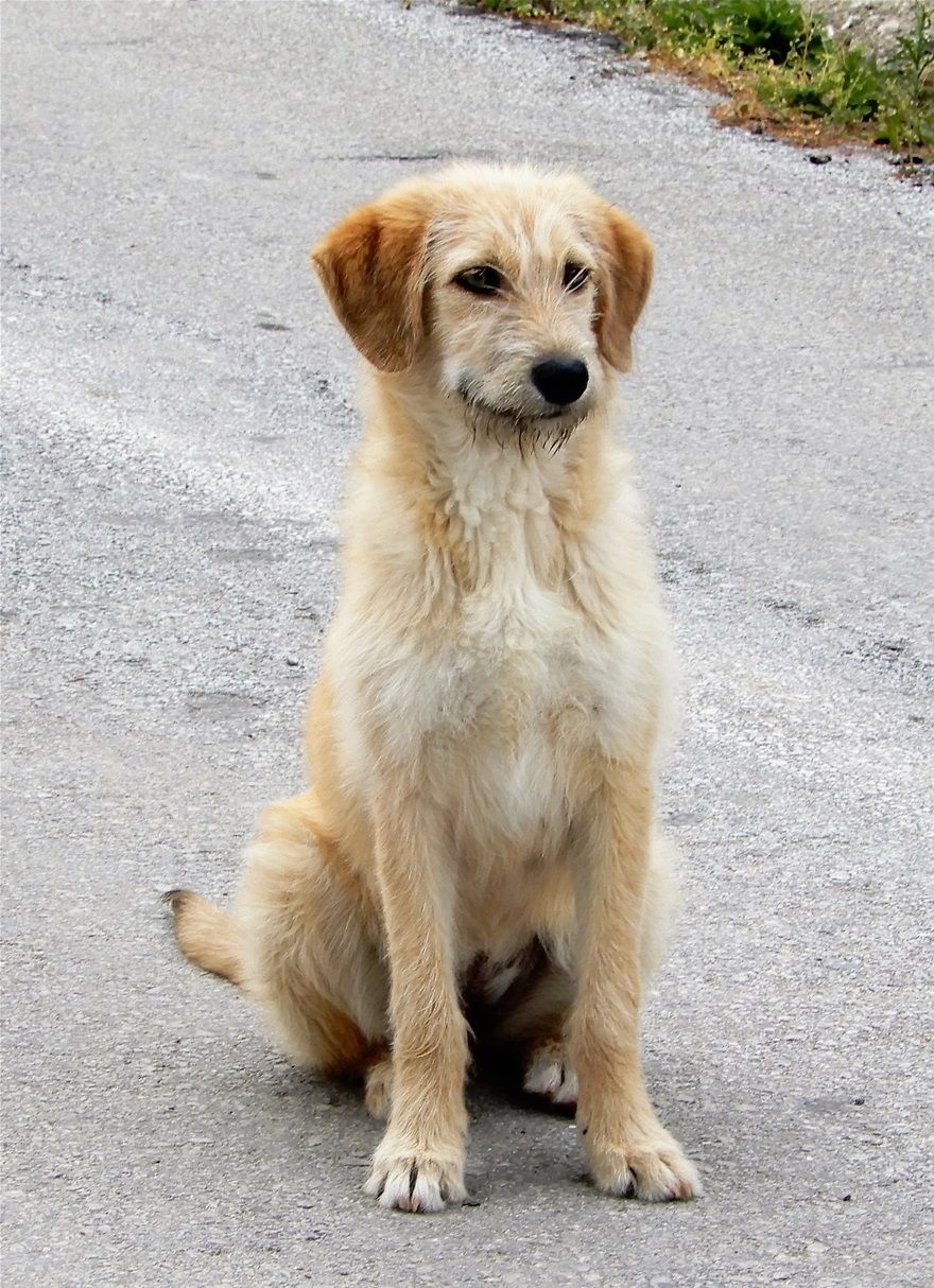 Yes, I look so handsome!!!