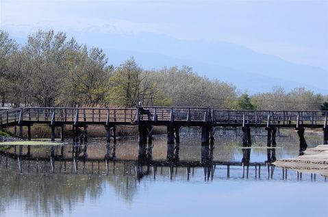 A wooden bridge connecting the beach to the mainland.