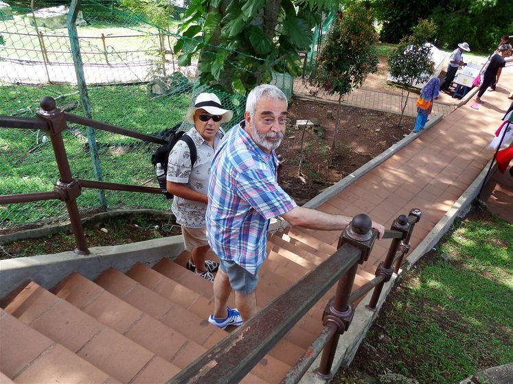 Fellow travelers going down the St.Paul's Hill.