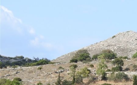 Lagia.