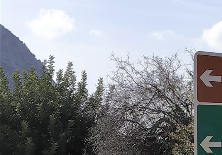 The road sign (after you pass Ano Karnezeika settlement) towards Avgou Monastery.