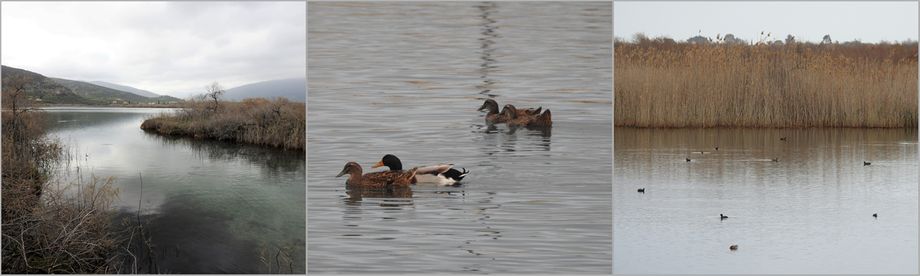 Moustos wetland.