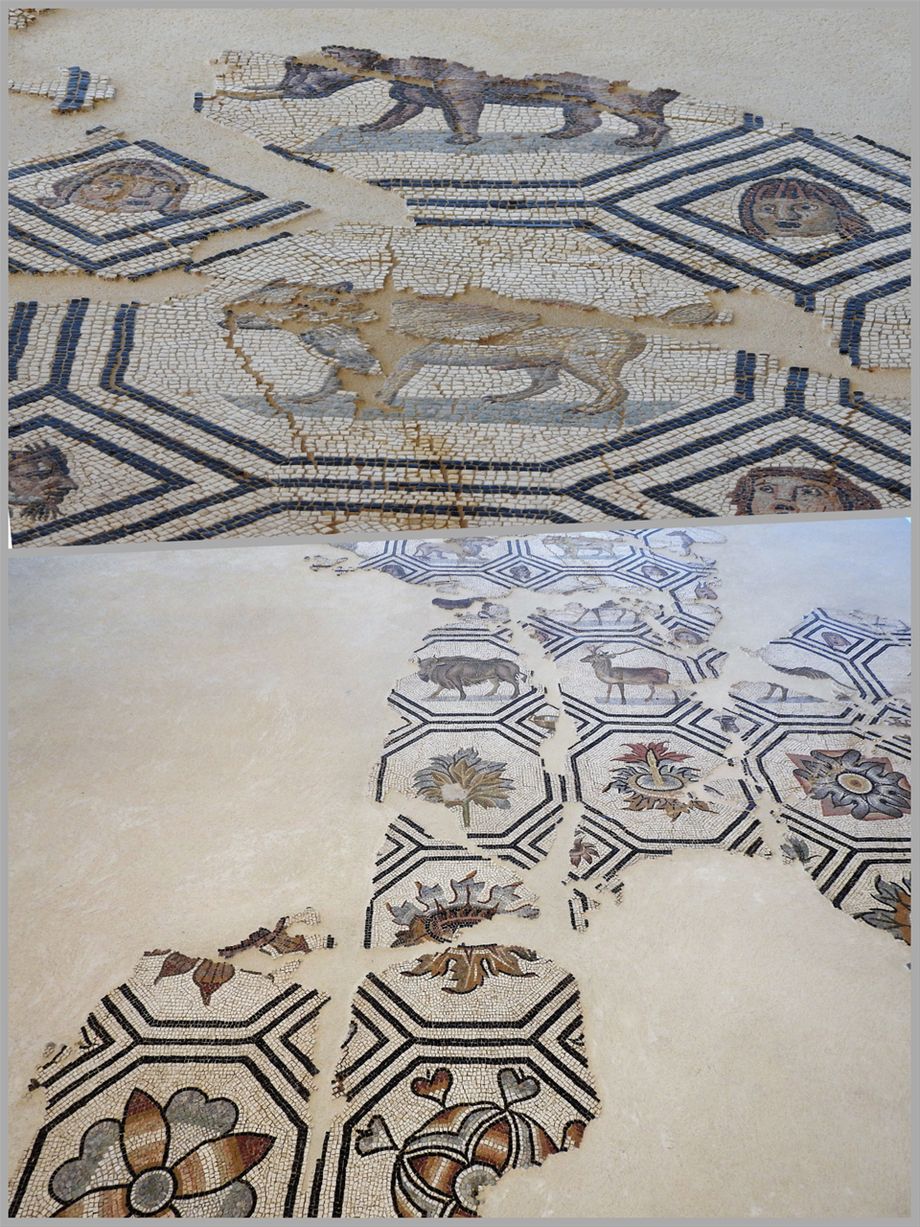 Details from the moisaic of 