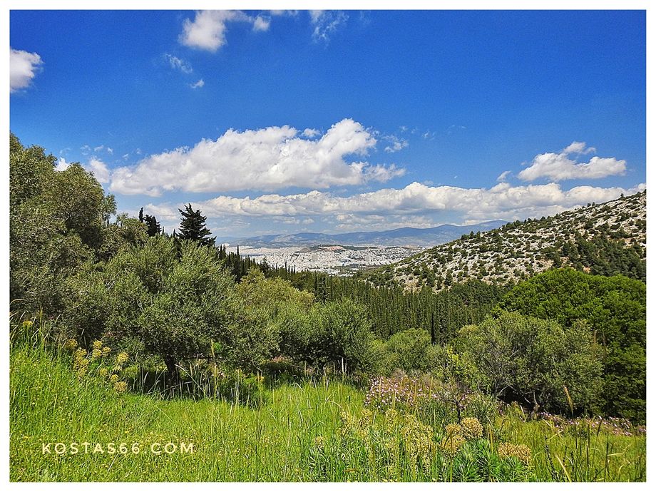 View from Taxiarchon Hill. Athens in the background.
